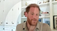 Prince Harry  his addresses sustainable tourism organisation