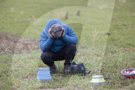 World faces 'deathly silence' of nature as wildlife disappears, warn experts.