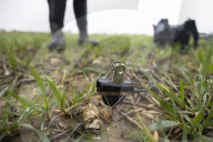 World faces 'deathly silence' of nature as wildlife disappears, warn experts.