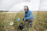 World faces 'deathly silence' of nature as wildlife disappears, warn experts.