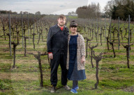 'It's a sun trap': climate crisis brings boomtime for British wine