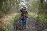'These birds are telling us something serious is happening': the songbirds disappearing from Britain's woods