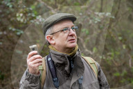 'These birds are telling us something serious is happening': the songbirds disappearing from Britain's woods