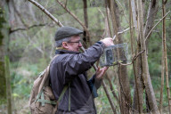 'These birds are telling us something serious is happening': the songbirds disappearing from Britain's woods