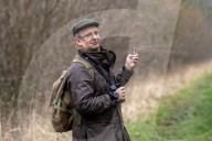 'These birds are telling us something serious is happening': the songbirds disappearing from Britain's woods