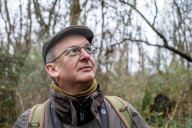 'These birds are telling us something serious is happening': the songbirds disappearing from Britain's woods