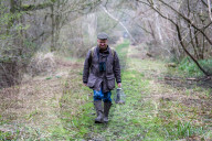 'These birds are telling us something serious is happening': the songbirds disappearing from Britain's woods