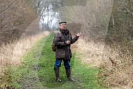 'These birds are telling us something serious is happening': the songbirds disappearing from Britain's woods