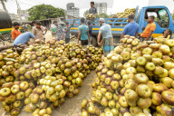 FEATURE - Arbeiter entladen auf einem lokalen Markt Palmfrüchte von Lastwagen
