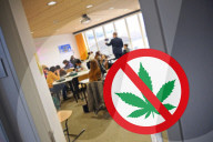 Themenfoto Cannabis Verbot an Schulen
