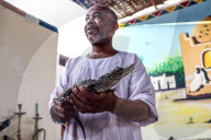 EGYPT-ASWAN-NUBIAN VILLAGE-CROCODILE BREEDING