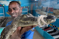 EGYPT-ASWAN-NUBIAN VILLAGE-CROCODILE BREEDING