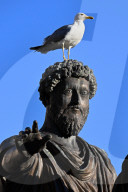 ITALY-ROME-FOUNDATION-SCENERY