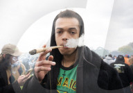 The annual 420 gathering in Hyde Park, London, UK.