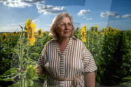 'They just make you happy': Jenny Jenner. The Queensland farmers who took a chance on a million sunflowers.