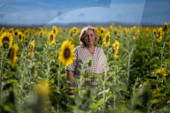 'They just make you happy': Jenny Jenner. The Queensland farmers who took a chance on a million sunflowers.