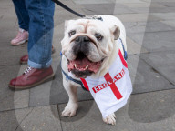 St George's Day in Westminster, London, UK