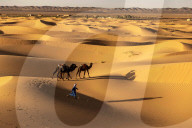 FEATURE - Die grösste warme Wüste der Welt: Die Sahara