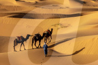 FEATURE - Die grösste warme Wüste der Welt: Die Sahara