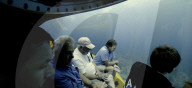 Submersible with giant bubble-like window  delivered to first customer