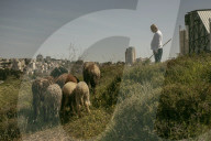 Israel has sped up settlement-building in East Jerusalem since Gaza war began