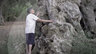 Plant apocalypse: how new diseases are destroying EU trees and crops