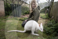 'It was wet. It was filthy. It was aggressive. I said, I'll take the racoon. But keeping exotic pets is cruel.'
Wildside Exotic Rescue.