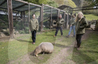 'It was wet. It was filthy. It was aggressive. I said, I'll take the racoon. But keeping exotic pets is cruel.'
Wildside Exotic Rescue.