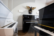 'A special bond between music and art': Bath piano shop turns old parts into palette