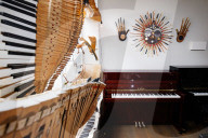'A special bond between music and art': Bath piano shop turns old parts into palette