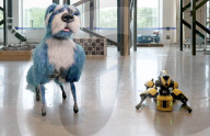 Robot dog Spot sparkles in  a canine suit