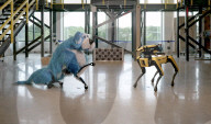 Robot dog Spot sparkles in  a canine suit