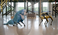 Robot dog Spot sparkles in  a canine suit