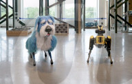 Robot dog Spot sparkles in  a canine suit