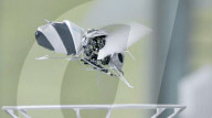 Bionic bee flies autonomously and swarms