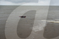 'England is hope': some say they will try again - despite Channel deaths.
Migrants attempt to cross Channel