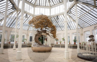 Marc Quinn: Light into Life major new exhibition at Kew Gardens, London, UK.