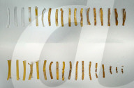 Plastic embedded with plastic eating bacteria