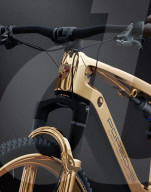 Porsche electric bike becomes a golden ride