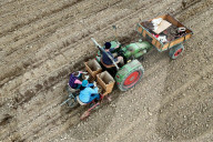 Themenfoto Landwirtschaft / Kartoffelanbau