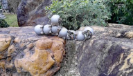 Snail inspired robots swarm together for search and rescue