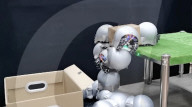 Snail inspired robots swarm together for search and rescue