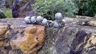 Snail inspired robots swarm together for search and rescue