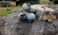Snail inspired robots swarm together for search and rescue