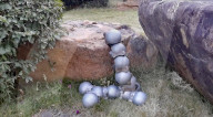 Snail inspired robots swarm together for search and rescue
