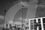 Beachlife music festival Redondo Beach, CA
