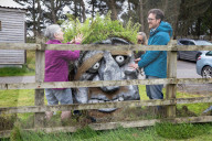 Bolster the Cornish giant stars in clifftop pageant - in pictures