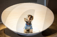 Bonhams' Goodwoof's Barkitecture kennel design competition 2024 preview at Bonhams New Bond Street, London, UK.
