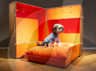 Bonhams' Goodwoof's Barkitecture kennel design competition 2024 preview at Bonhams New Bond Street, London, UK.