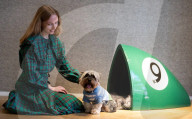 Bonhams' Goodwoof's Barkitecture kennel design competition 2024 preview at Bonhams New Bond Street, London, UK.